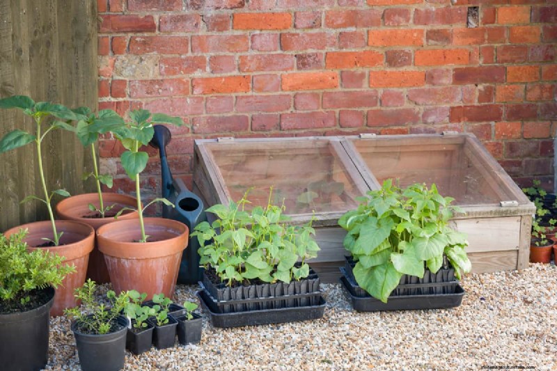 Cold Frame Ventilation: Should It Be Airtight?