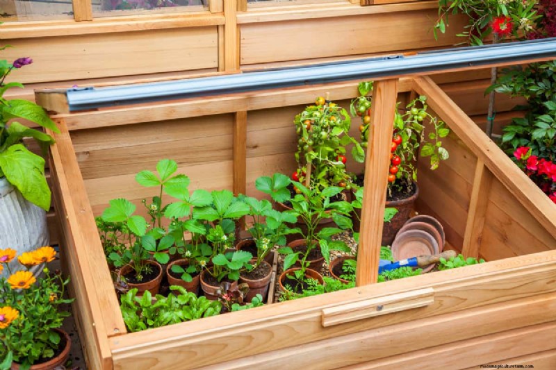 Cold Frame Ventilation: Should It Be Airtight?