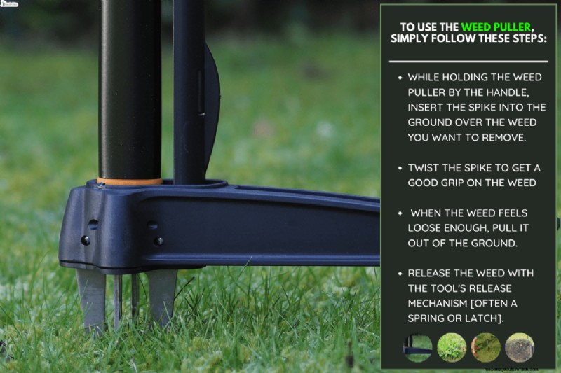Yardworks Weed Puller: A Comprehensive Step-by-Step Guide for Effective Weeding