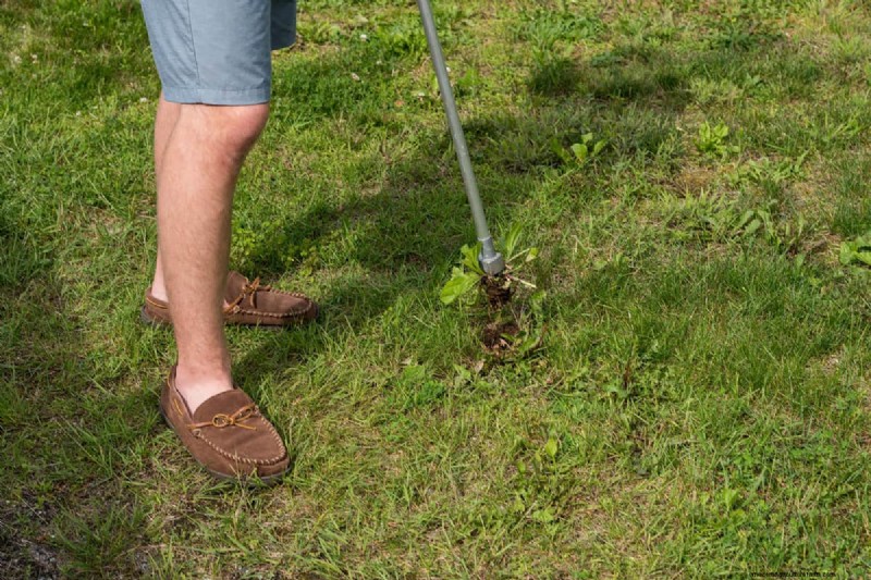 Yardworks Weed Puller: A Comprehensive Step-by-Step Guide for Effective Weeding