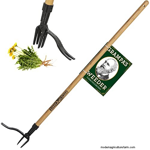 Yardworks Weed Puller: A Comprehensive Step-by-Step Guide for Effective Weeding