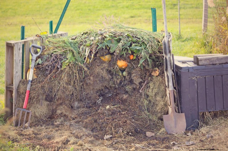 Yardworks Weed Puller: A Comprehensive Step-by-Step Guide for Effective Weeding