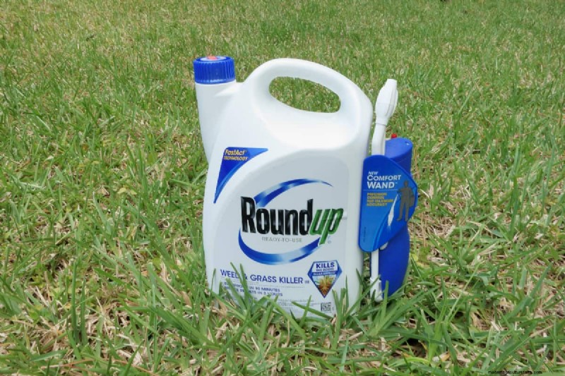 Roundup Application: Best Time of Day for Weed Control