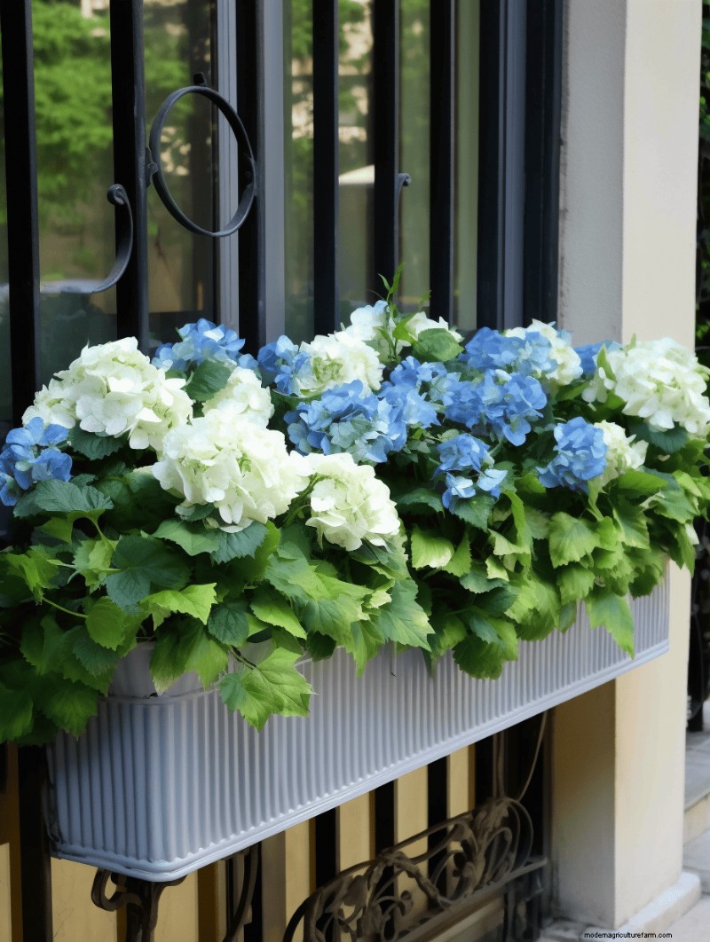 Fence Planter Ideas: Creative Garden Displays & Space-Saving Designs