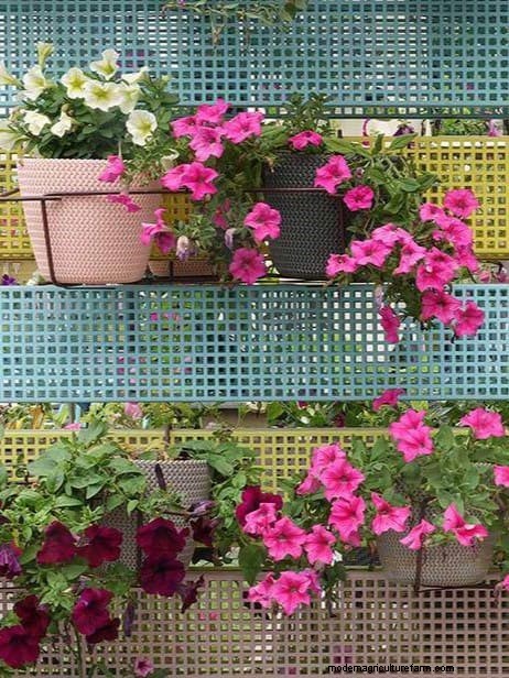 Fence Planter Ideas: Creative Garden Displays & Space-Saving Designs
