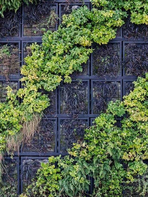 Fence Planter Ideas: Creative Garden Displays & Space-Saving Designs