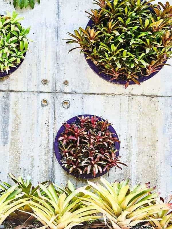 Fence Planter Ideas: Creative Garden Displays & Space-Saving Designs