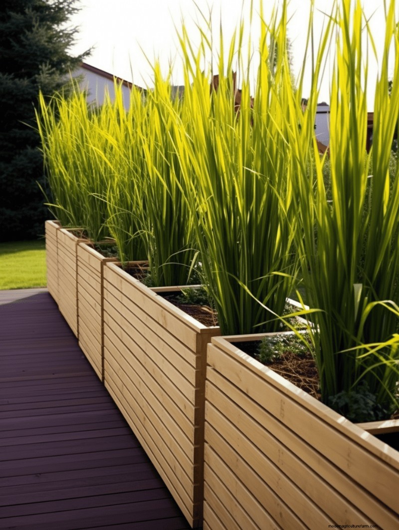 Fence Planter Ideas: Creative Garden Displays & Space-Saving Designs