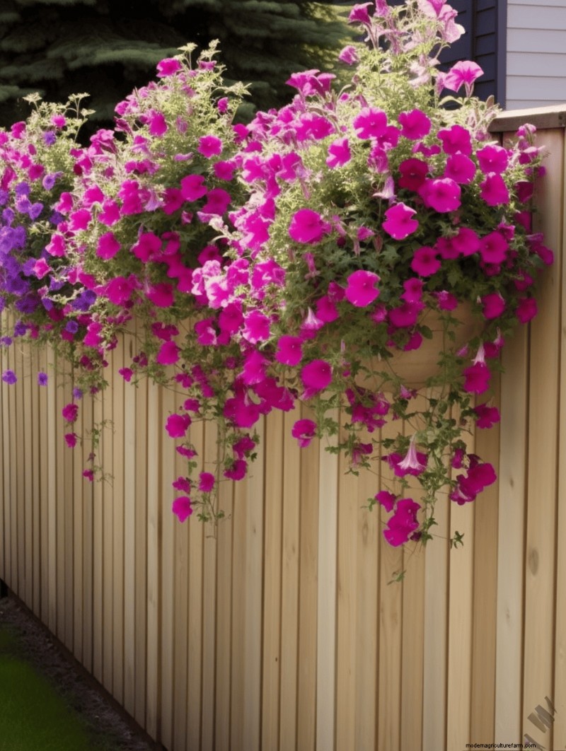 Fence Planter Ideas: Creative Garden Displays & Space-Saving Designs