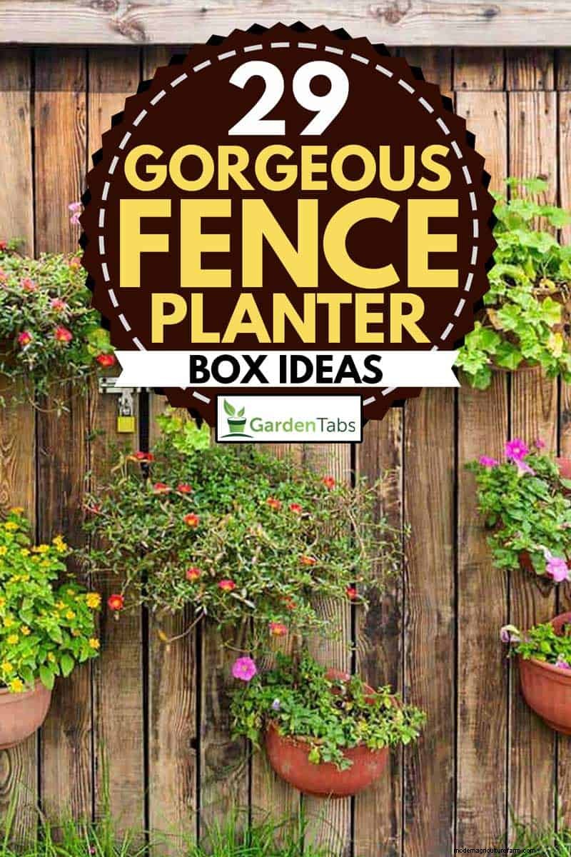 Fence Planter Ideas: Creative Garden Displays & Space-Saving Designs
