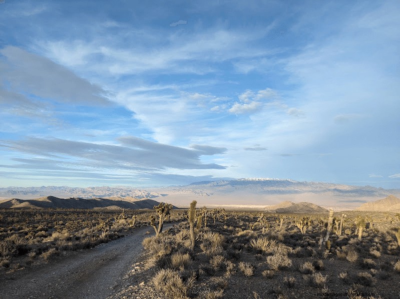 Southwest Homesteading: Native Plants & Animals for a Thriving Homestead