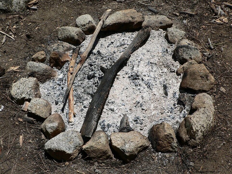 Wood Ash Uses for Homesteading: 7+ Proven Applications