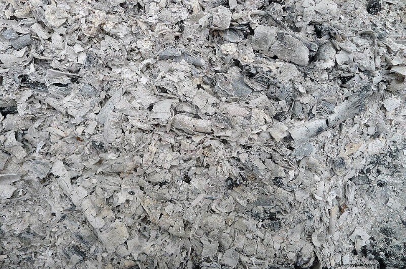 Wood Ash Uses for Homesteading: 7+ Proven Applications