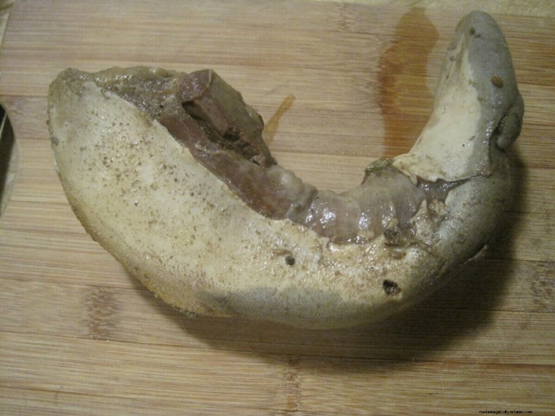 Beef Tongue: A Comprehensive Guide to Preparation & Cooking
