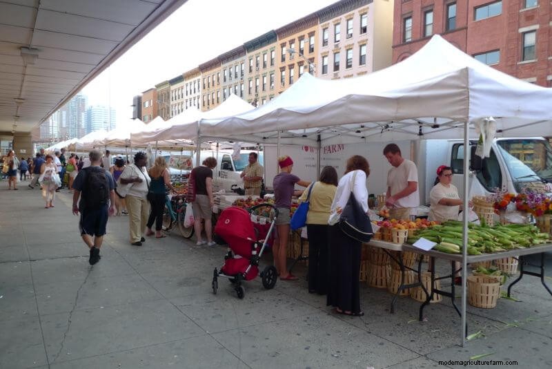 Direct-from-Farm Meat: A Guide to Buying Local & Ethical Meat
