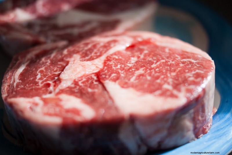 Direct-from-Farm Meat: A Guide to Buying Local & Ethical Meat