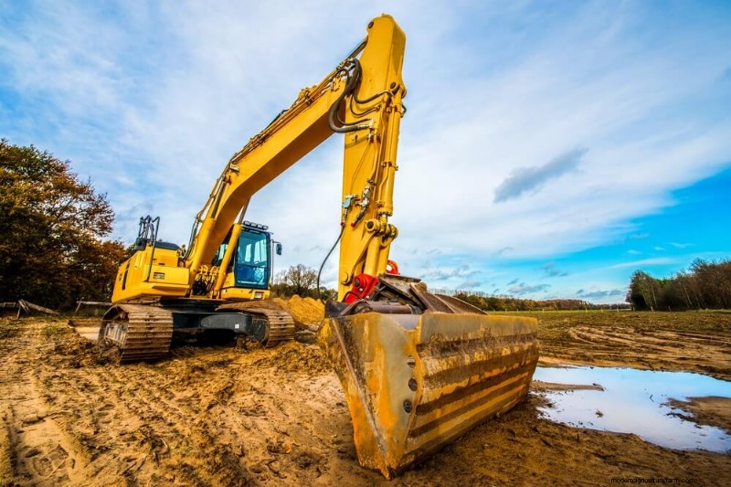 DIY Fish Pond Construction: A Guide for Homesteaders