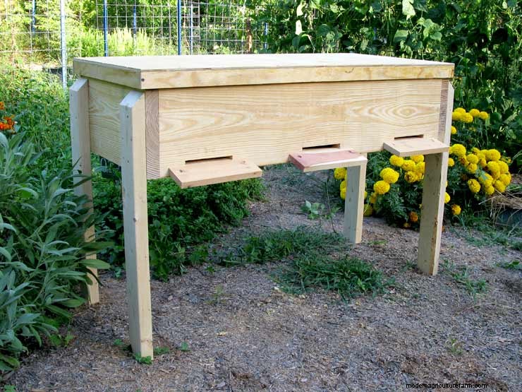 DIY Beehive Plans: Build a Home for Your Bees | [Your Brand]