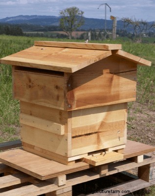 DIY Beehive Plans: Build a Home for Your Bees | [Your Brand]