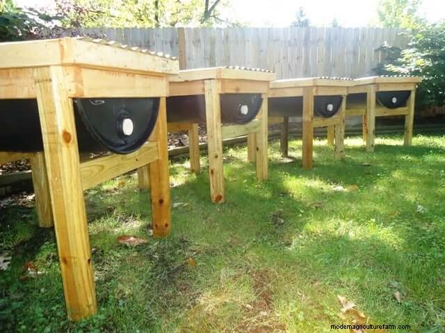 DIY Beehive Plans: Build a Home for Your Bees | [Your Brand]