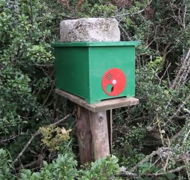 DIY Beehive Plans: Build a Home for Your Bees | [Your Brand]