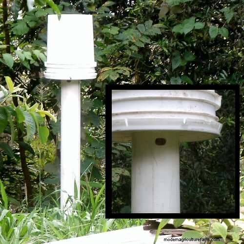 DIY Beehive Plans: Build a Home for Your Bees | [Your Brand]