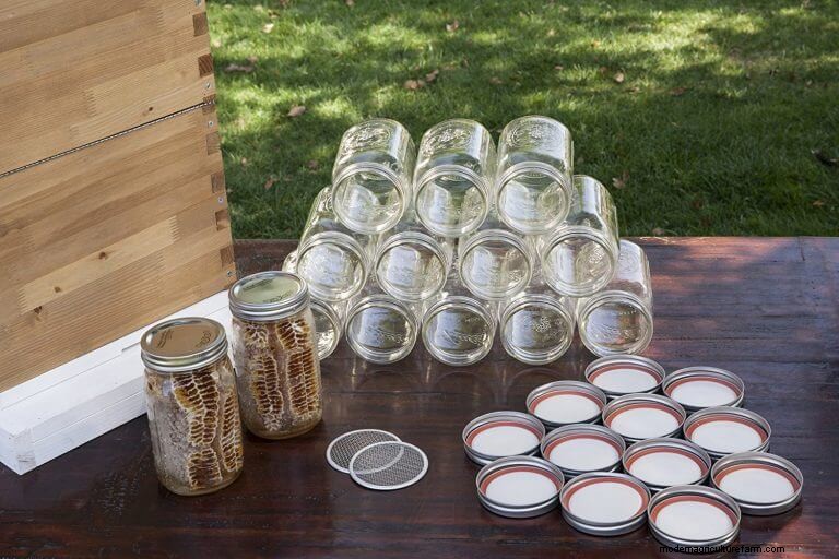 DIY Beehive Plans: Build a Home for Your Bees | [Your Brand]