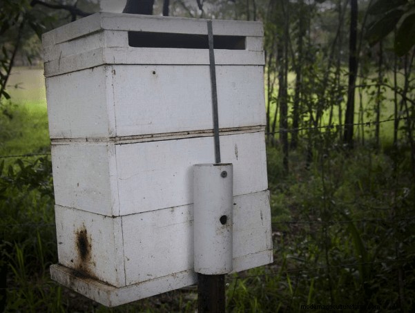DIY Beehive Plans: Build a Home for Your Bees | [Your Brand]