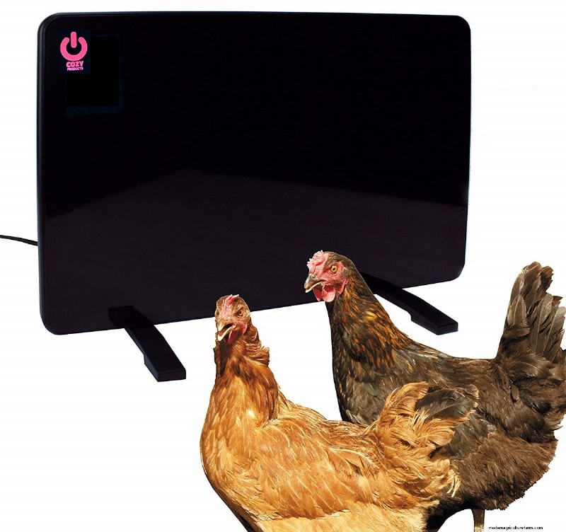 Best Gifts for Chicken Keepers: 13 Ideas They ll Love