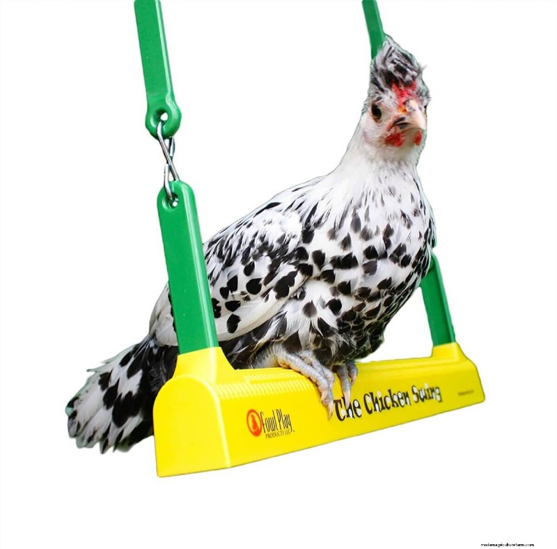 Best Gifts for Chicken Keepers: 13 Ideas They ll Love