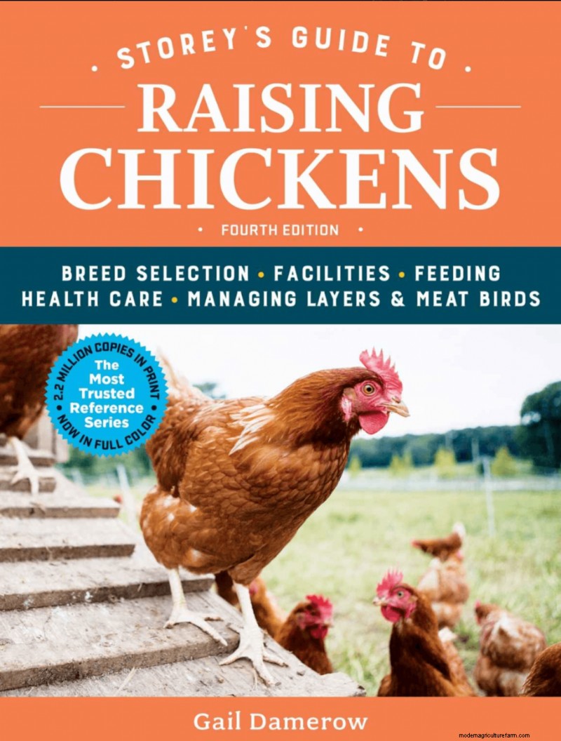 Best Gifts for Chicken Keepers: 13 Ideas They ll Love