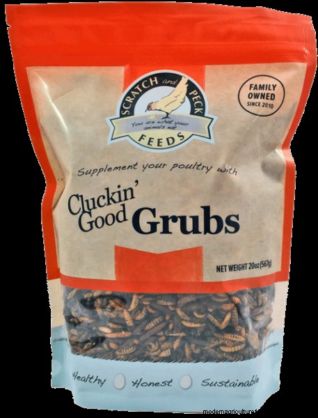 Best Gifts for Chicken Keepers: 13 Ideas They ll Love