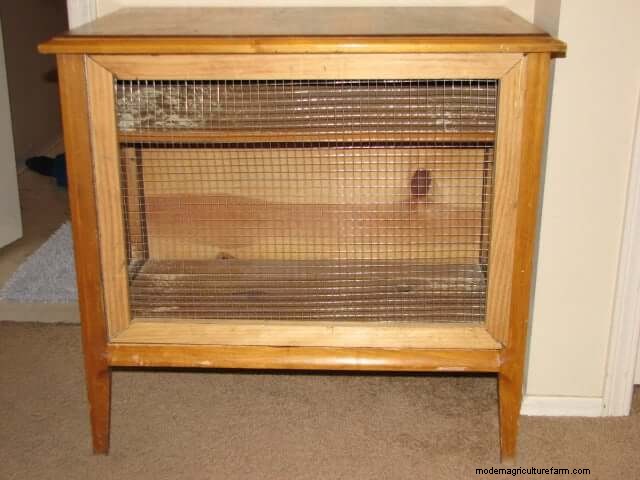 Free Rabbit Hutch Plans: Build a Safe & Comfortable Home for Your Rabbits
