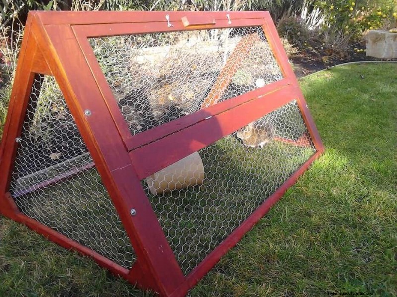 Free Rabbit Hutch Plans: Build a Safe & Comfortable Home for Your Rabbits