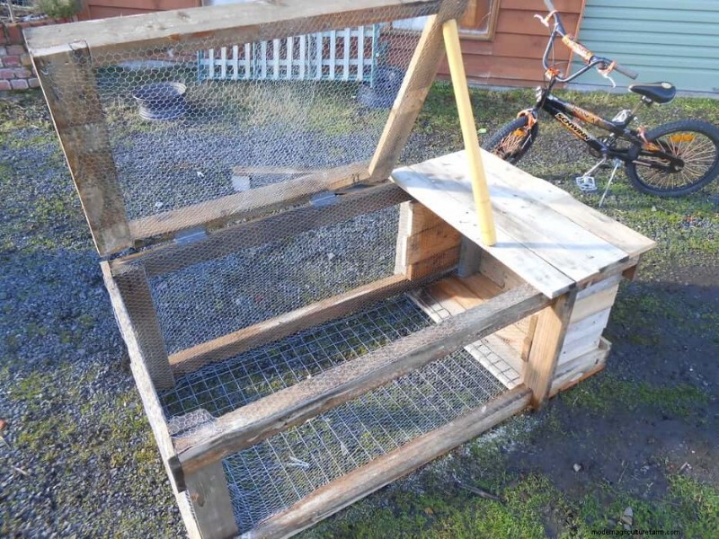 Free Rabbit Hutch Plans: Build a Safe & Comfortable Home for Your Rabbits