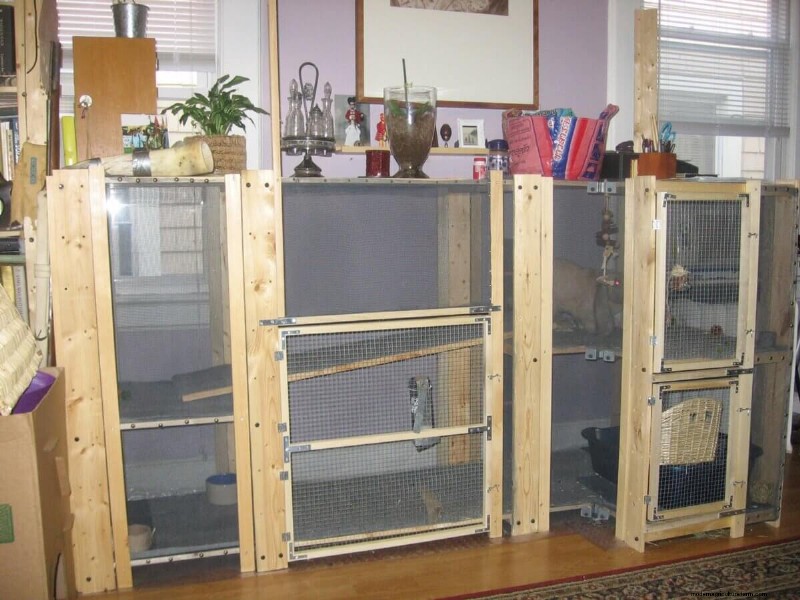 Free Rabbit Hutch Plans: Build a Safe & Comfortable Home for Your Rabbits