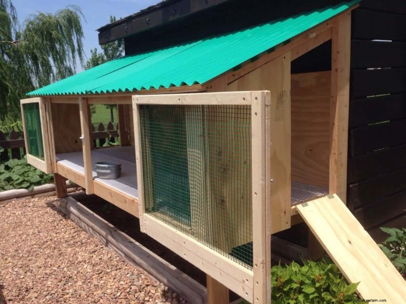 Free Rabbit Hutch Plans: Build a Safe & Comfortable Home for Your Rabbits