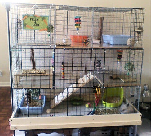 Free Rabbit Hutch Plans: Build a Safe & Comfortable Home for Your Rabbits
