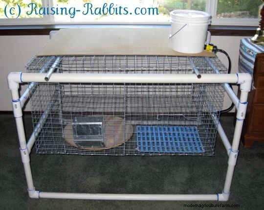Free Rabbit Hutch Plans: Build a Safe & Comfortable Home for Your Rabbits