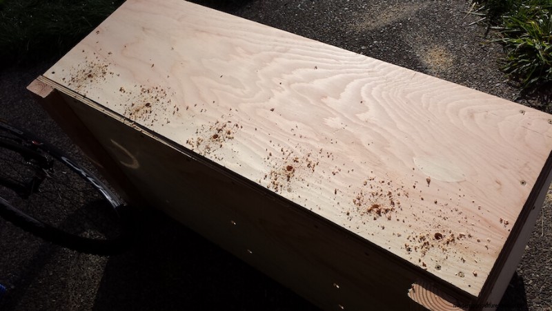 Build Your Own Worm Composter: A Step-by-Step Guide