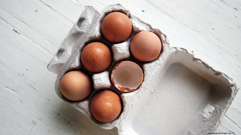 Budget-Friendly Chicken Feed Alternatives: 10 Cost-Effective Options
