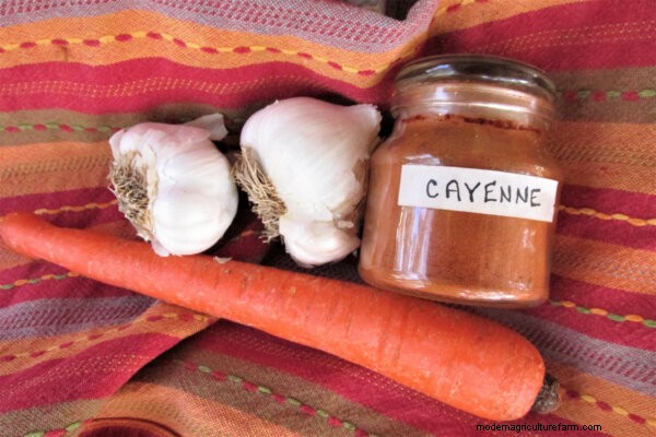 Chicken Worms: Identification, Treatment & Prevention - A Comprehensive Guide