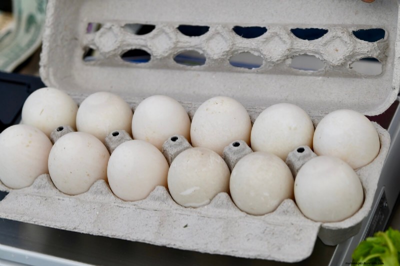 Duck Eggs: A Comprehensive Guide to Flavor, Nutrition & Uses