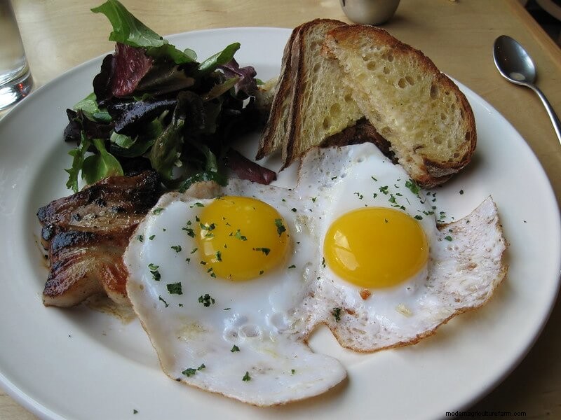 Duck Eggs: A Comprehensive Guide to Flavor, Nutrition & Uses