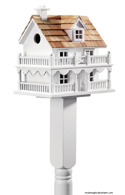 Best Birdhouses: Attract Feathered Friends to Your Garden