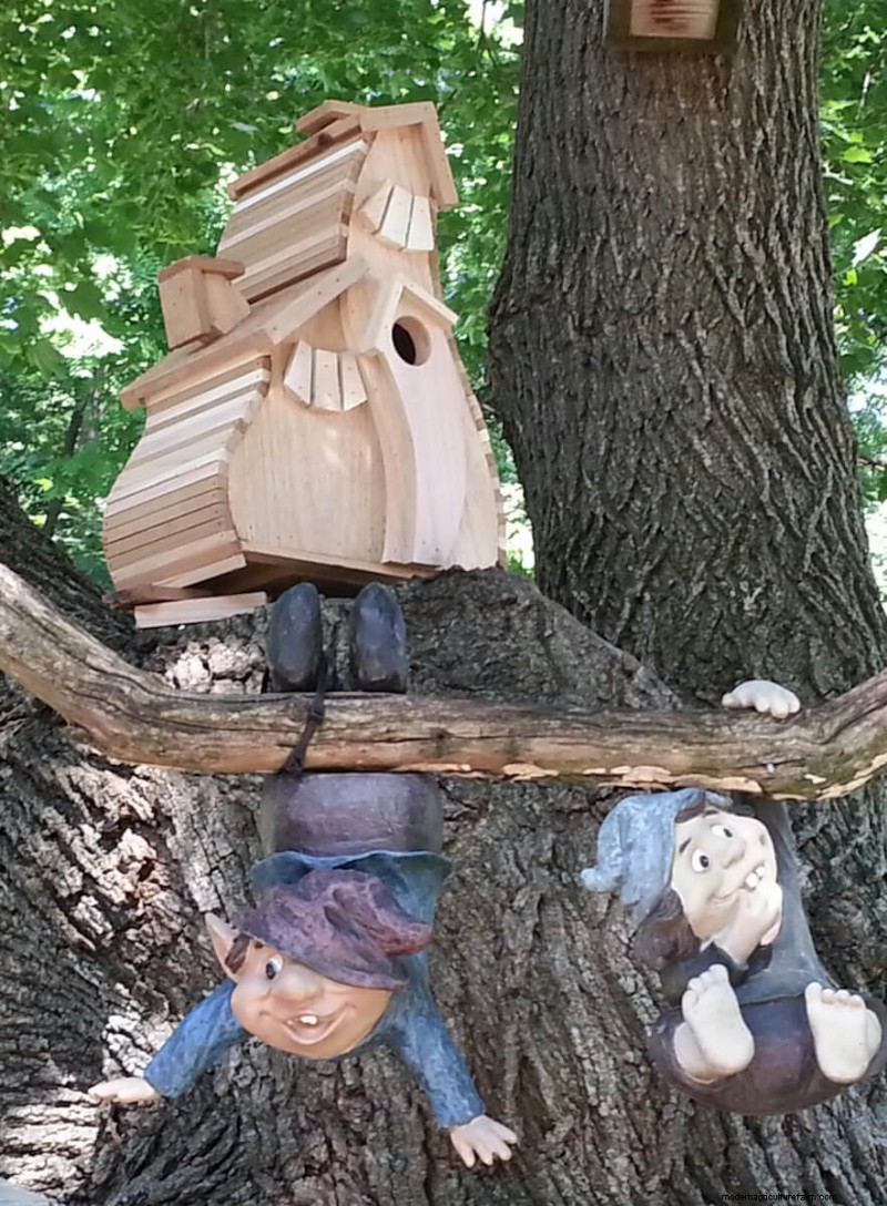 Best Birdhouses: Attract Feathered Friends to Your Garden