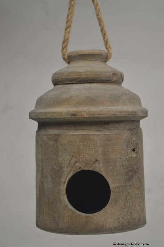 Best Birdhouses: Attract Feathered Friends to Your Garden