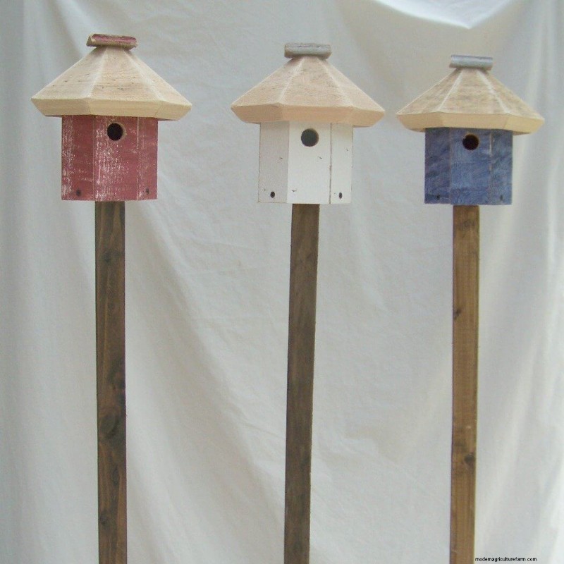Best Birdhouses: Attract Feathered Friends to Your Garden