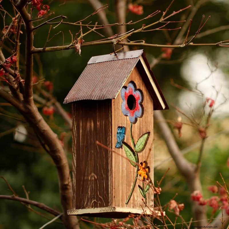 Best Birdhouses: Attract Feathered Friends to Your Garden