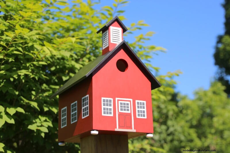 Best Birdhouses: Attract Feathered Friends to Your Garden